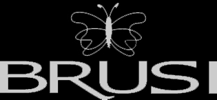 brusi-logo (1)